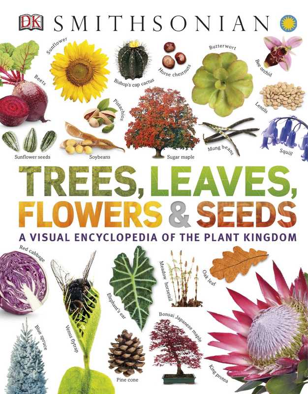 Trees  Leaves  Flowers and Seeds A Visual Encyclopedia of the Plant Kingdom (Sarah Jose)