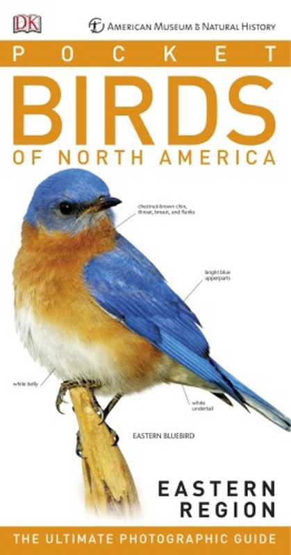 Pocket Birds of North America， Eastern Region（Stephen Kress， Elissa Wolfson）（DK Publishing 2017）