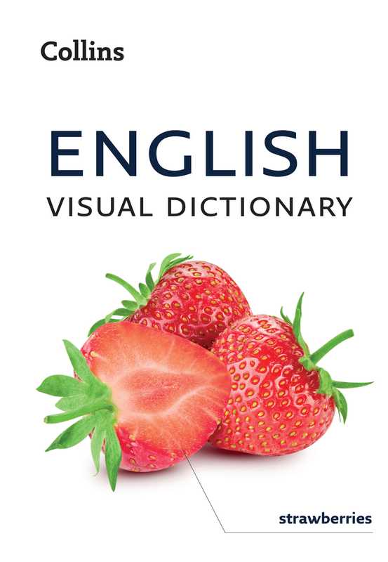 English Visual Dictionary A photo guide to everyday words and phrases in English (Collins Dictionaries)