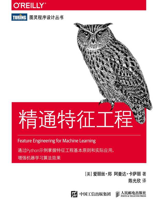 [图灵程序设计丛书]精通特征工程【文字版】（爱丽丝•郑    阿曼达•卡萨丽）