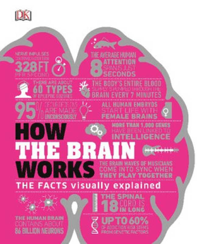 How the Brain Works（Catherine Collin， Wendy Horobin）（DK Penguin House 2020）