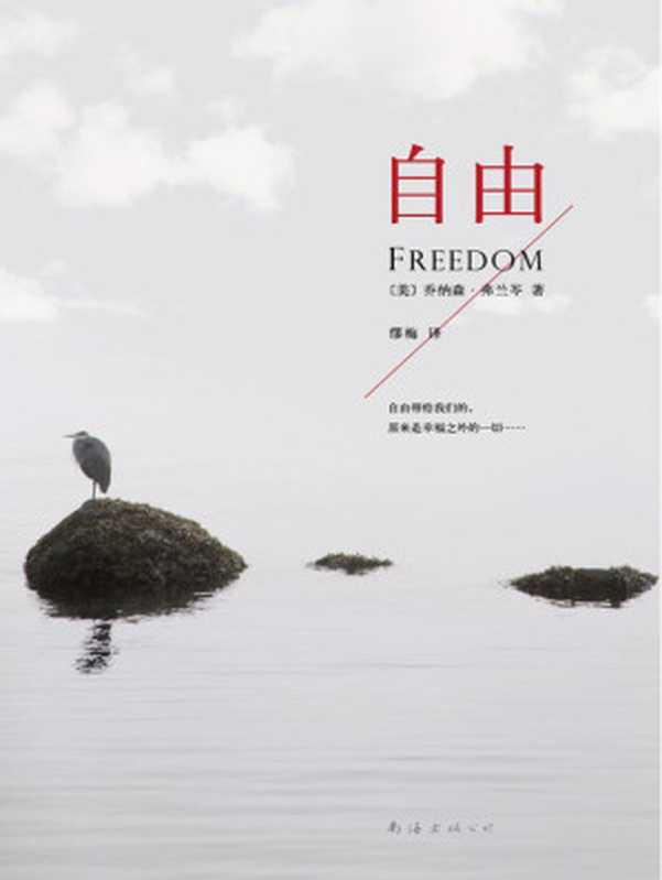 自由（freedom）（(美)乔纳森·弗兰岑）（南海出版公司 2012）