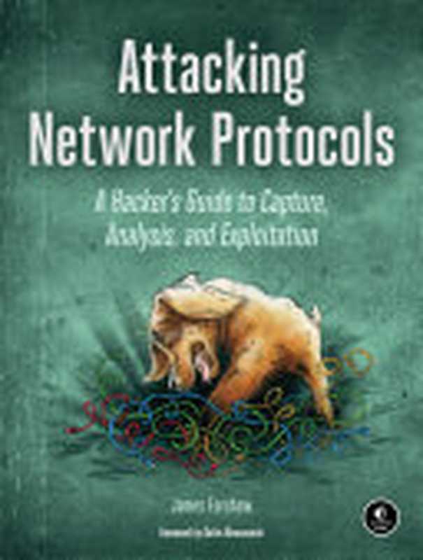 Attacking Network Protocols： A Hacker’s Guide to Capture， Analysis， and Exploitation（James Forshaw）（No Starch Press 2018）