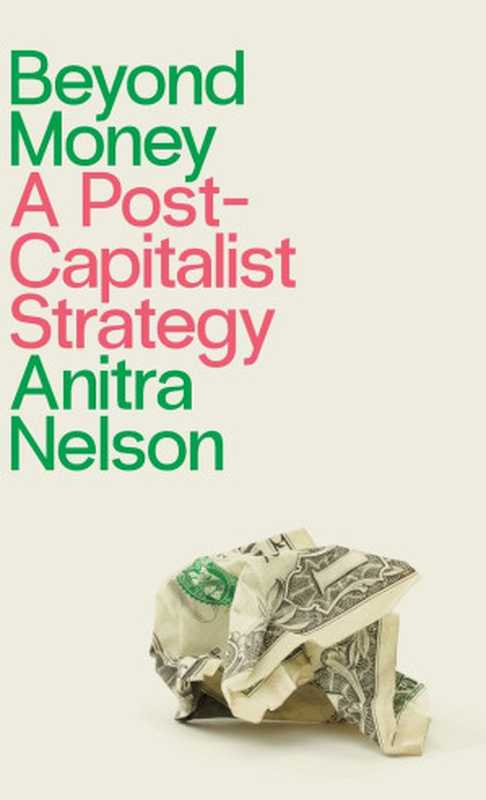 Beyond Money： A Postcapitalist Strategy（Anitra Nelson， John Holloway）（Pluto Press 2022）