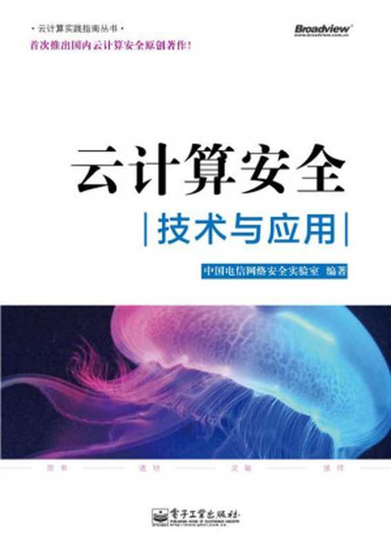 云计算安全：技术与应用（中国电信网络安全实验室）（电子工业出版社 2012）