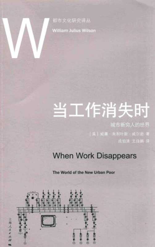 当工作消失时 城市新穷人的世界（(美)威廉·朱利叶斯·威尔逊（译）成伯清、王佳鹏）（上海人民出版社 2016）