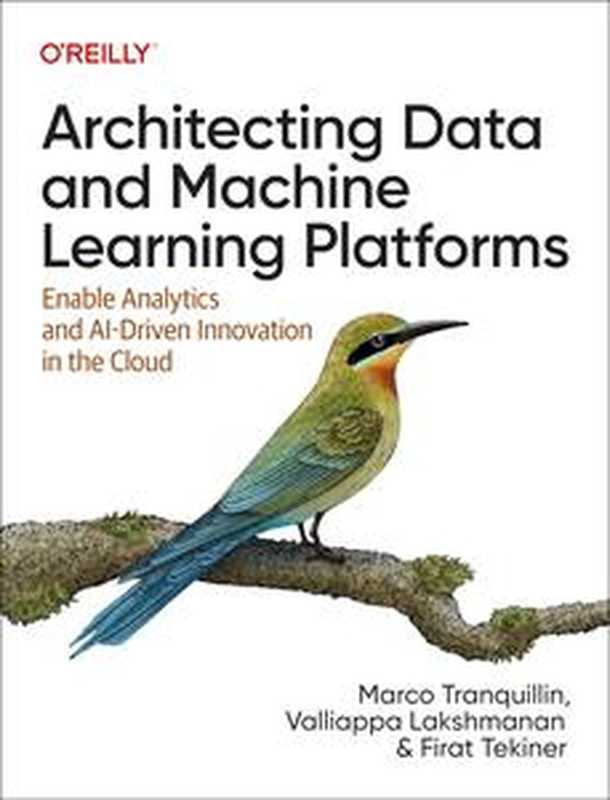 Architecting Data and Machine Learning Platforms： Enable Analytics and AI-Driven Innovation in the Cloud（Marco Tranquillin， Valliappa Lakshmanan， Firat Tekiner）（O