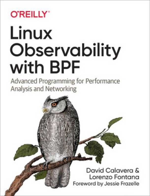 Linux Observability with BPF： Advanced Programming for Performance Analysis and Networking（David Calavera; Lorenzo Fontana）（ O