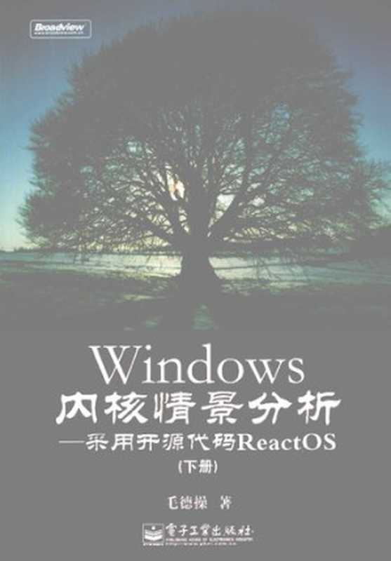 Windows内核情景分析： 采用开源代码ReactOS（下册）（毛德操）（电子工业出版社 2009）