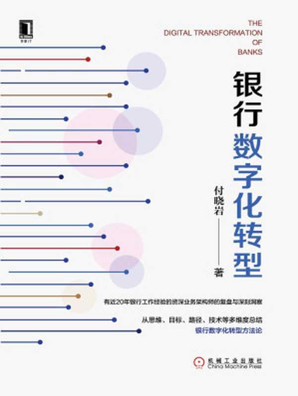 银行数字化转型（付晓岩）（机械工业出版社 2020）