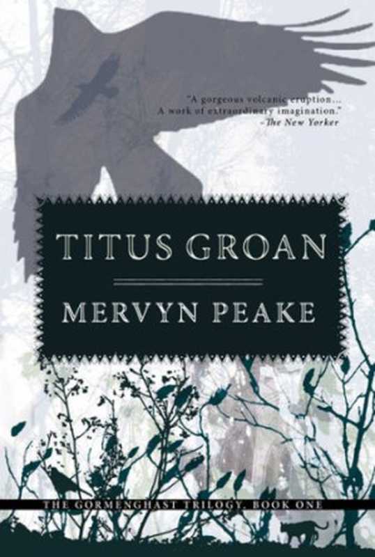 Titus Groan（Peake Mervyn）（Penguin Group USA 2007）