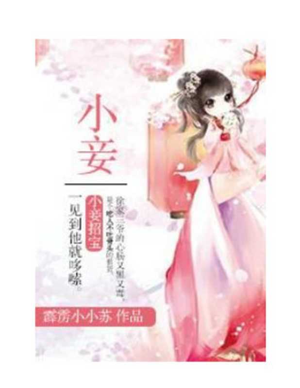 小妾（霹雳小小苏）