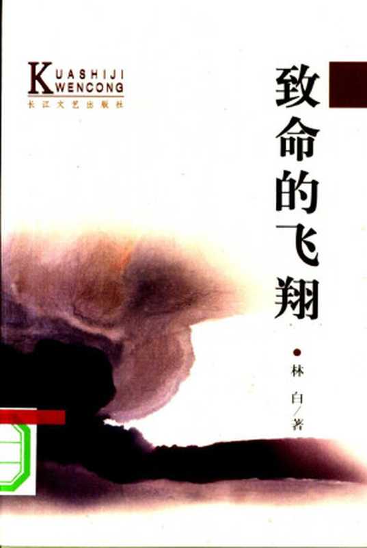 致命的飞翔（林白）（长江文艺出版社 2001）