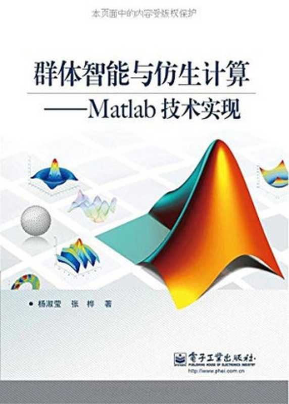 群体智能与仿生计算：Matlab技术实现（杨淑莹 & 张桦）（电子工业出版社 2012）