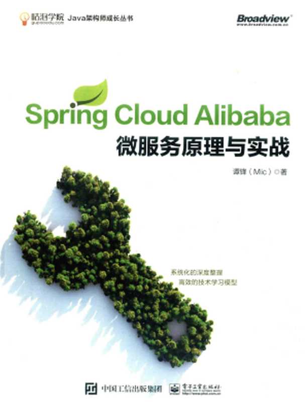 Spring Cloud Alibaba 微服务原理与实战（谭锋）（电子工业出版社 2020）