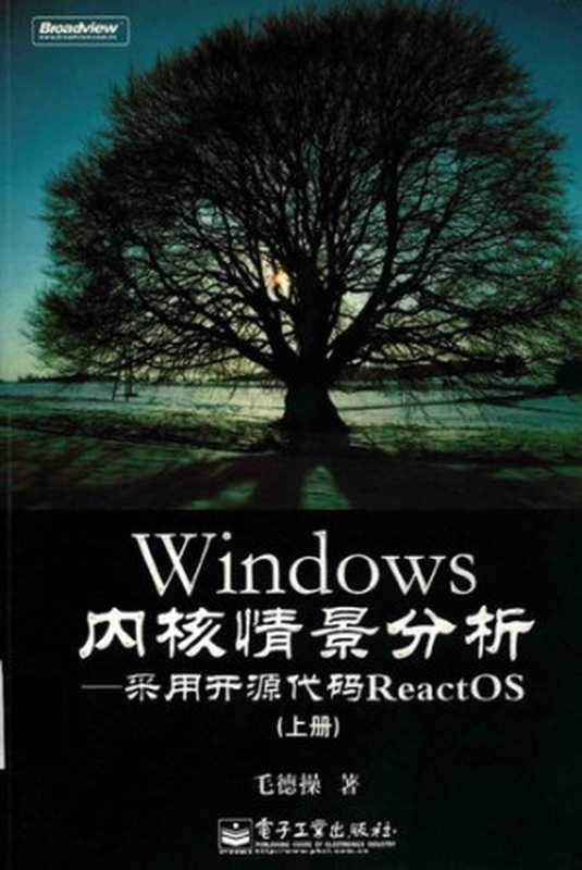 Windows内核情景分析： 采用开源代码ReactOS（上册）（毛德操）（电子工业出版社 2009）