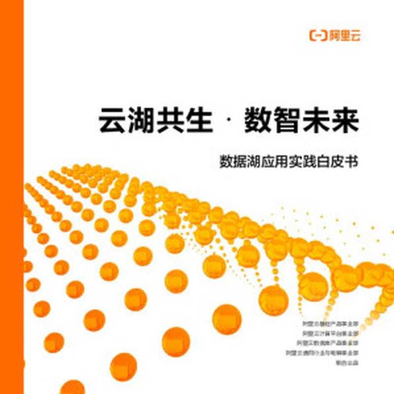 数据湖应用实践白皮书（it-ebooks）（iBooker it-ebooks 2021）