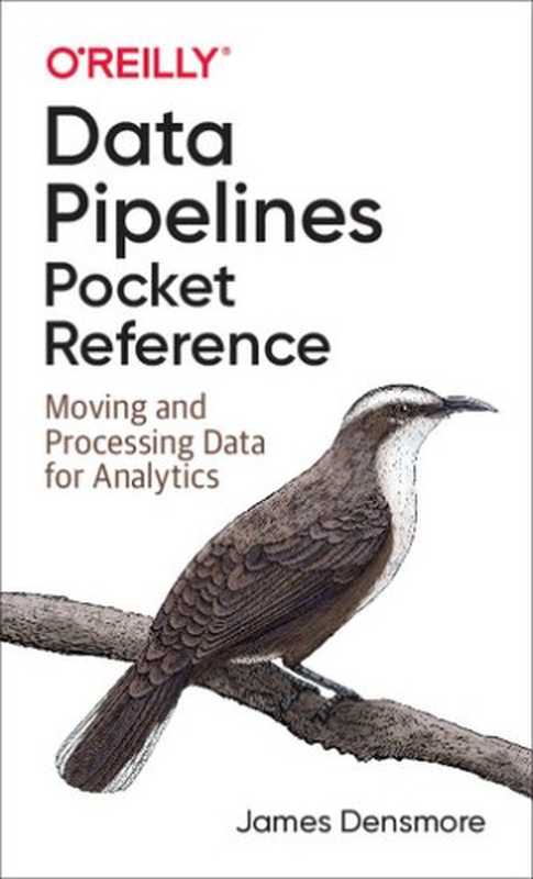 Data Pipelines Pocket Reference： Moving and Processing Data for Analytics（James Densmore）（O