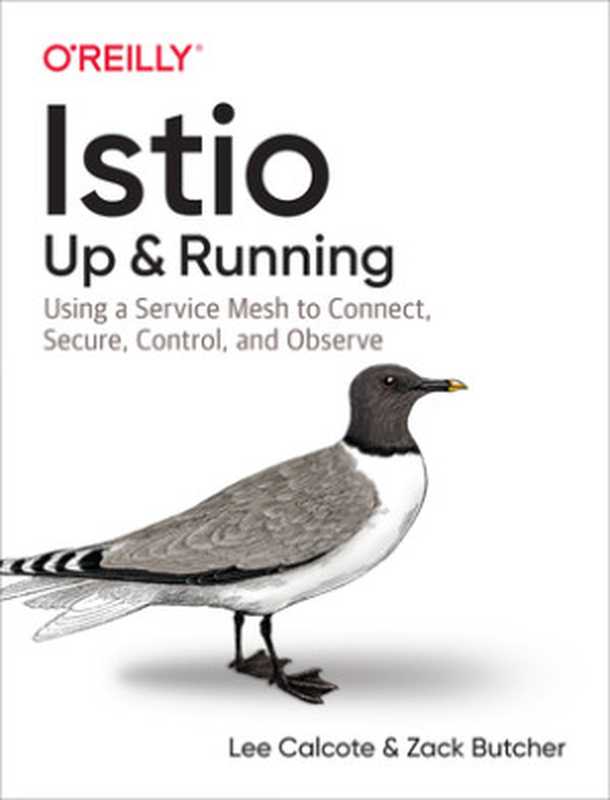 Istio： Up and Running： Using a Service Mesh to Connect， Secure， Control， and Observe（Lee Calcote; Zack Butcher）（O