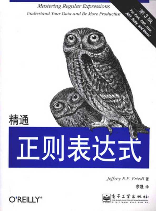 精通正则表达式（第3版）（Jeffrey E. F. Friedl）（电子工业出版社 2012）