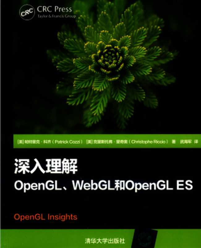 深入理解OpenGL，WebGL和OpenGL ES（里奇奥）（清华大学出版社 2020）