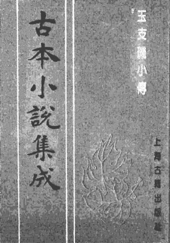 古本小说集成 3038 [清]天花藏主人述-玉支玑小传（醉花楼刊）（上海古籍出版社1994）（[清]天花藏主人述）（2016）