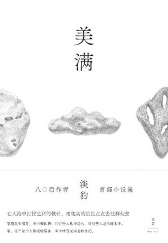 美满【淡豹首部短篇小说集，在人海中打捞生活的骸骨，用现实的星星点点去注解幻想】（淡豹 [淡豹]）（上海人民出版社 2020）