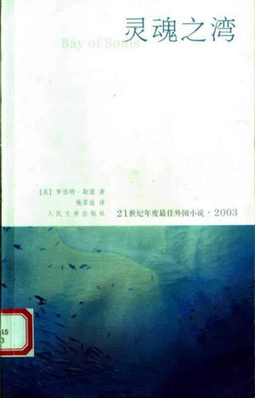 21世纪年度最佳外国小说013 2004 [美]罗伯特·斯通-灵魂之湾（姚翠丽译，人民文学出版社2005）（（美）斯通著  姚翠丽译）（2012）