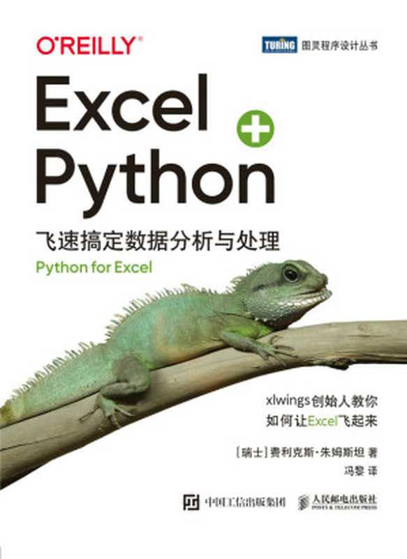 Excel+Python：飞速搞定数据分析与处理（图灵图书）（费利克斯•朱姆斯坦）（人民邮电出版社 2022）