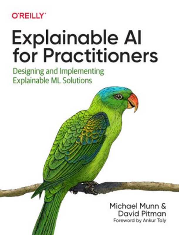 Explainable AI for Practitioners： Designing and Implementing Explainable ML Solutions（Michael Munn， David Pitman）（O