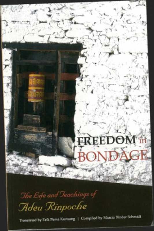 Freedom in bondage ： the life and teachings of Adeu Rinpoche（Trulshik Ade Rinpoche; Erik Pema Kunsang; Marcia Binder Schmidt）（Rangjung Yeshe 2011）