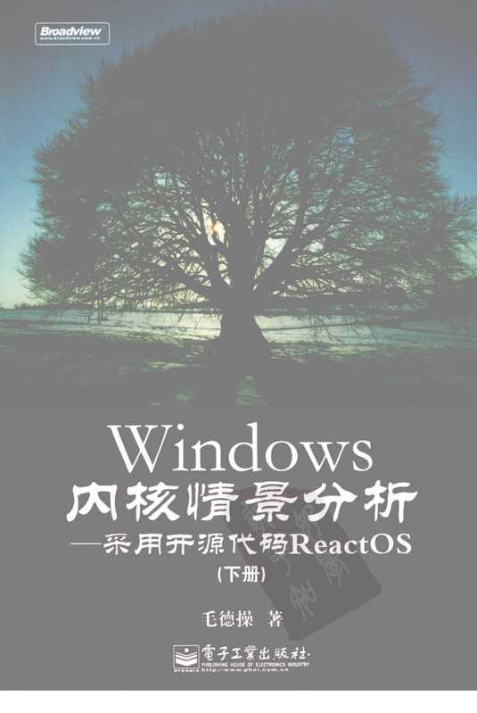 Windows内核情景分析_下.pdf（Windows内核情景分析_下.pdf）