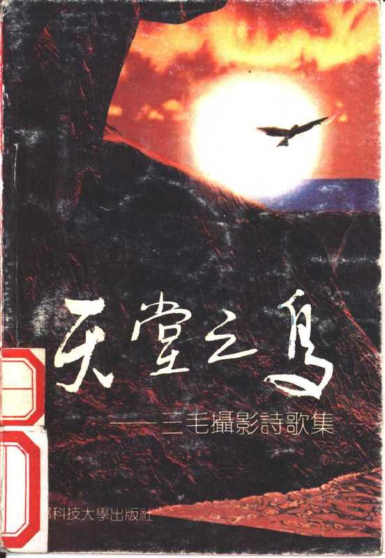 天堂之鸟-三毛摄影诗歌集（三毛、肖全）（成都科技大学出版社 1991）