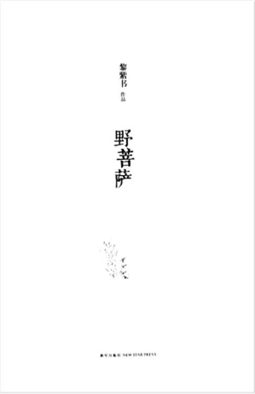 野菩萨（黎紫书）（新星出版社 2013）