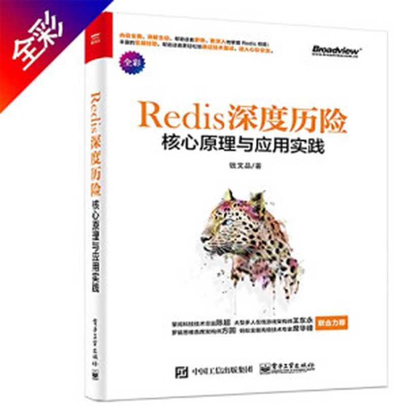 Redis 深度历险：核心原理与应用实践（钱文品）（电子工业出版社 2019）