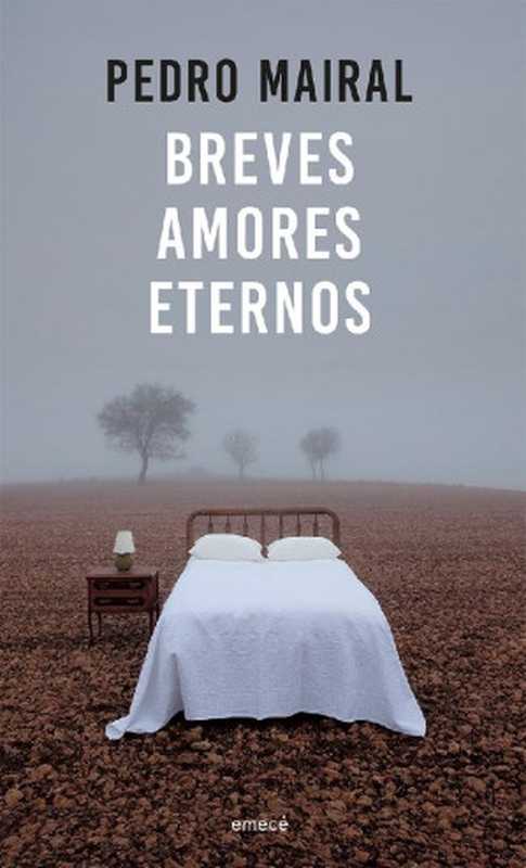 Breves amores eternos（Pedro Mairal）（Emecé Argentina 2019）