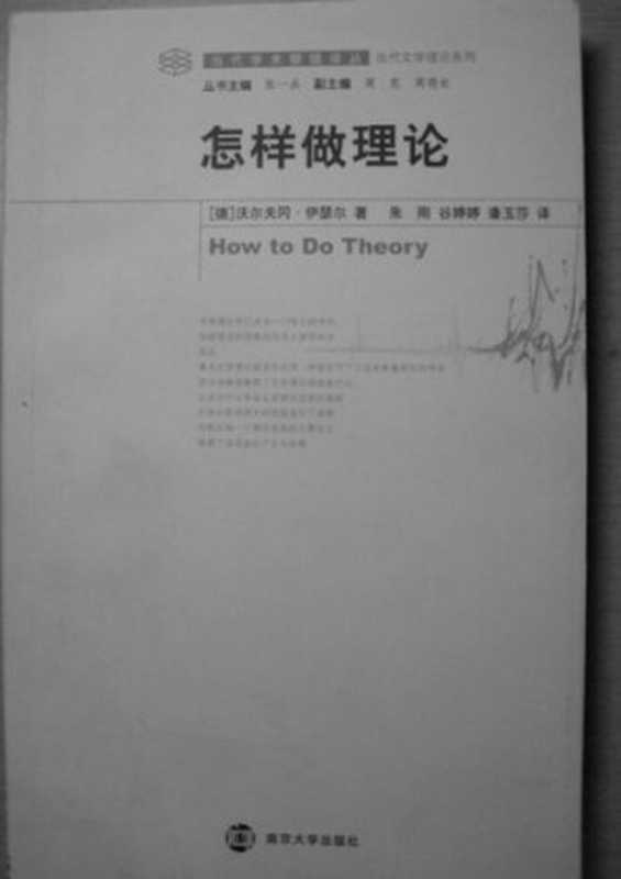 怎样做理论（沃尔夫冈·伊瑟尔）（南京大学出版社 2007）