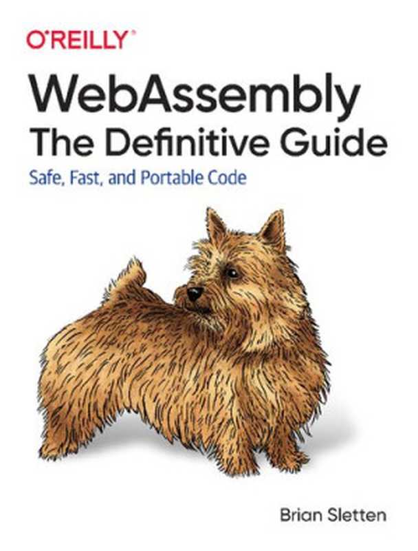 WebAssembly： The Definitive Guide： Safe， Fast， and Portable Code（Brian Sletten）（O