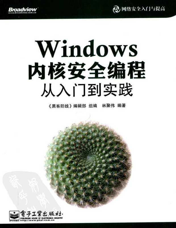 网络安全入门与提高.：Windows内核安全编程从入门到实践（林聚伟）（电子工业出版社 2013）