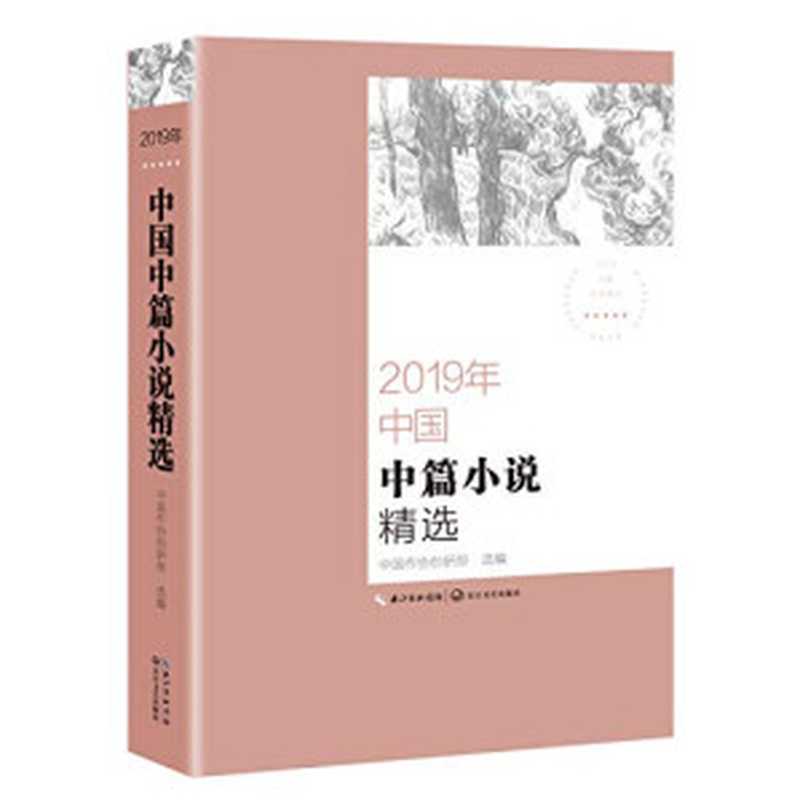 2019年中国中篇小说精选（中国作协创研部）