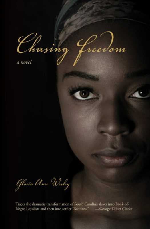 Chasing Freedom（Wesley， Gloria Ann）（Fernwood Publishing 2013）