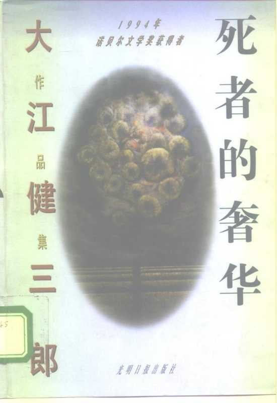 大江健三郎作品集 死者的奢华_10175714（大江健三郎）（光明日报出版社）