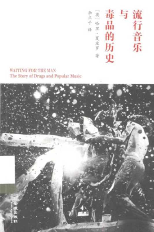 流行音乐与毒品的历史（哈里·夏皮罗）（金城出版社 2014）