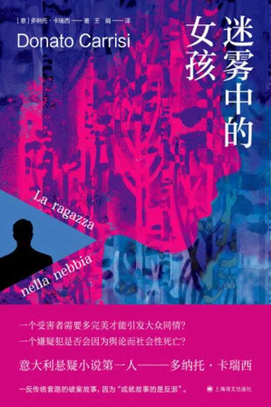 迷雾中的女孩（多纳托·卡瑞西（Donato Carrisi））（上海译文出版社 2021）