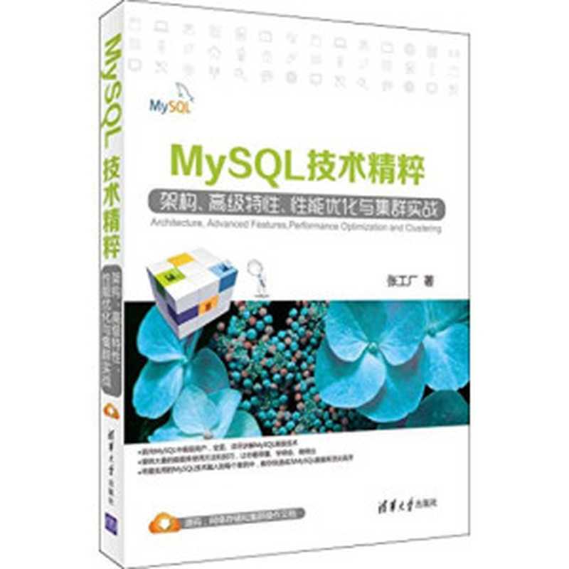 MySQL技术精粹：架构、高级特性、性能优化与集群实战（张工厂）（清华大学出版社 2015）