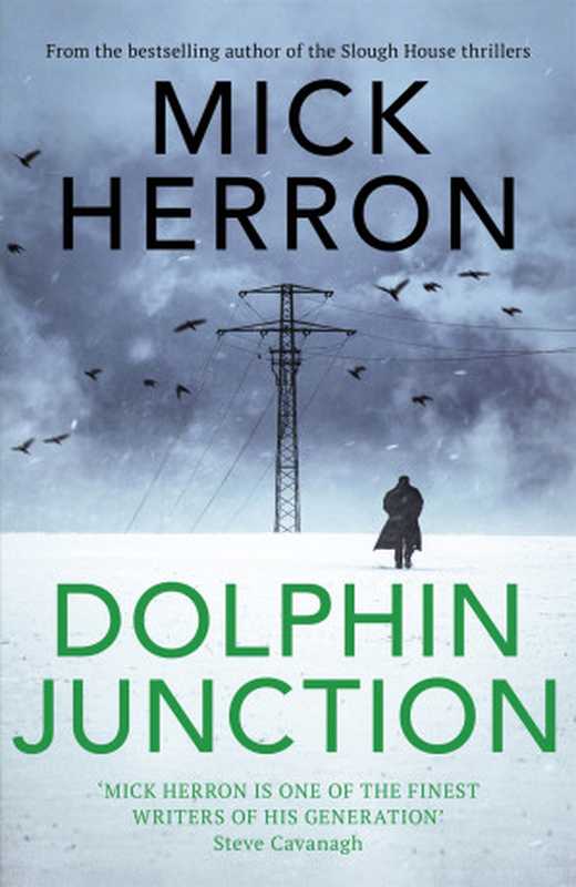 Dolphin Junction（Mick Herron）（Hachette Uk 2021）