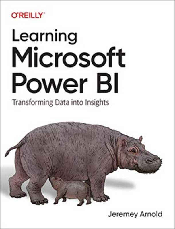 Learning Microsoft Power BI（Jeremey Arnold）（O