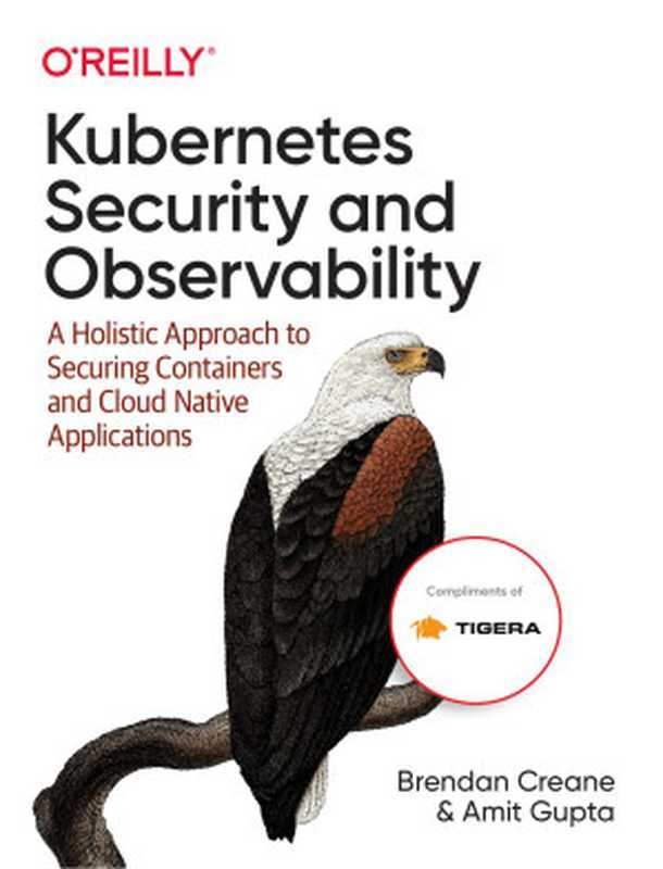 Kubernetes Security and Observability： A Holistic Approach to Securing Containers and Cloud Native Applications（Brendan Creane， Amit Gupta）（O