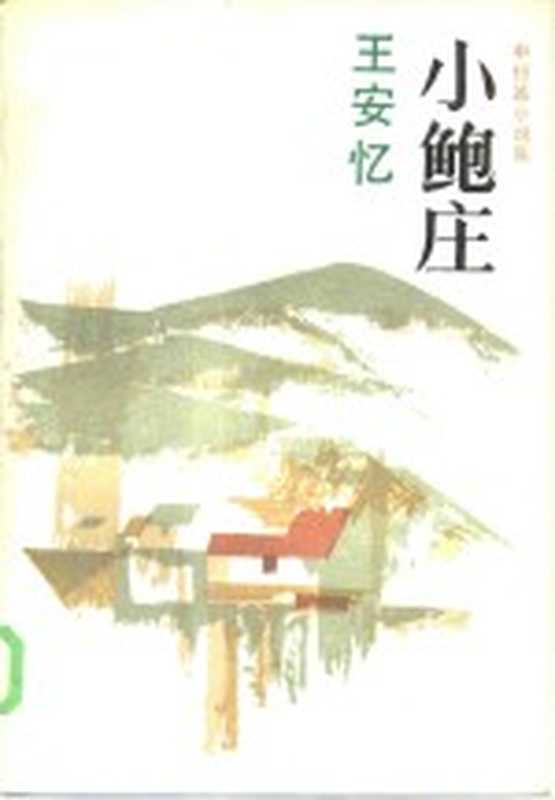 小鲍庄（王安忆著）（上海：上海文艺出版社 1986）