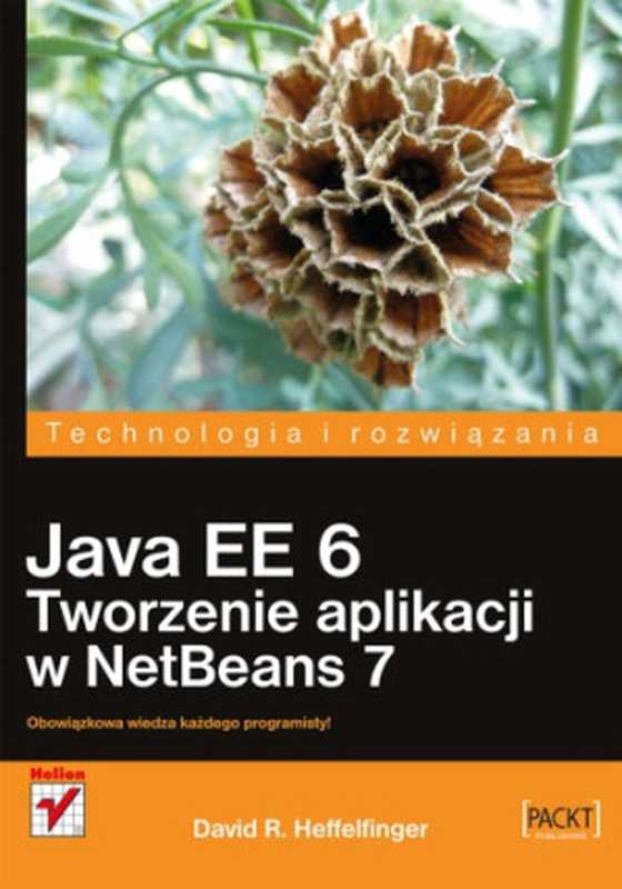 Java EE 6. Tworzenie aplikacji w NetBeans 7（David R. Heffelfinger）（Helion   Packt 2014）